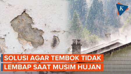 Cara Mudah Mengatasi Tembok Lembap dan Berjamur Saat Musim Hujan