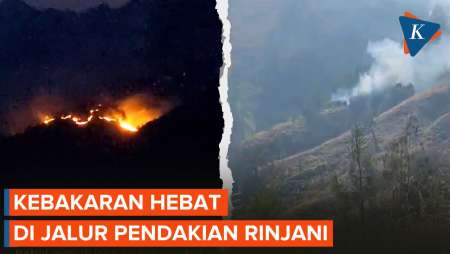 Detik-detik Api Membakar Lahan di Rinjani, Jalur Pendakian Ditutup