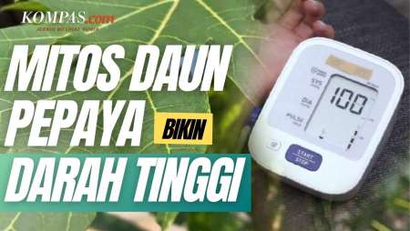 Mitos Daun Pepaya Bisa Bikin Darah Tinggi? Benarkah?