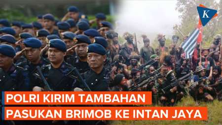 Polri Kirim Tambahan Pasukan Brimob ke Intan Jaya Papua, Ada Apa?