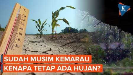Ada Peningkatan Intensitas Hujan Di Musim Kemarau, BMKG Ungkap Pemicunya