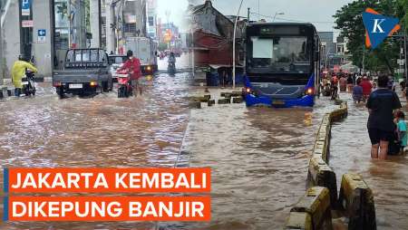 Banjir Jakarta: 35 RT Terendam, Pohon Tumbang, Satu Tewas