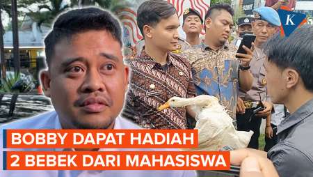 Didemo Mahasiswa, Bobby Nasution Dapat Hadiah 2 Ekor Bebek, Apa Maksudnya?