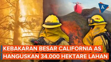 Kebakaran Hutan California AS, 34.000 H Lahan Terbakar, 1.900 Damkar Dikerahkan