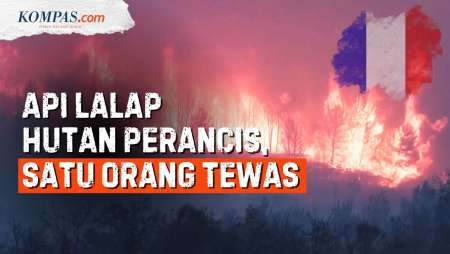 Kebakaran Hutan Terbesar di Perancis Tewaskan 1 Orang, Begini Penampakannya!