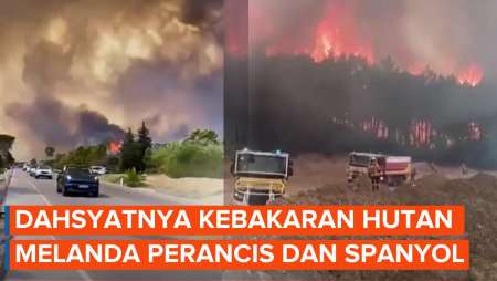 Eropa Membara! Spanyol dan Perancis Berjibaku Hadapi Kebakaran Hutan
