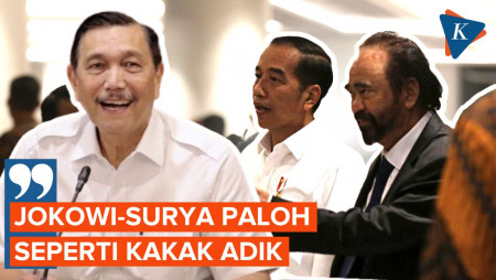 Luhut Ungkap Hubungan Jokowi dan Surya Paloh seperti Saudara