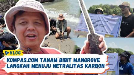 [VLOG] Kompas.com Komitmen Tekan Emisi Karbon, Tanam 5.000 Bibit Mangrove Bersama