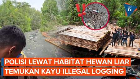 Lewati Sarang Harimau Dan Buaya, Polres Inhu Akhirnya Temukan Kayu "Illegal Logging"