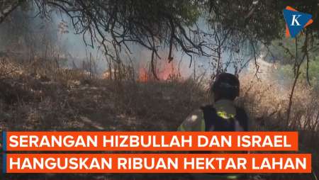 Hizbullah dan Israel Saling Serang, Ribuan Hektar Lahan Pertanian Hangus Terbakar
