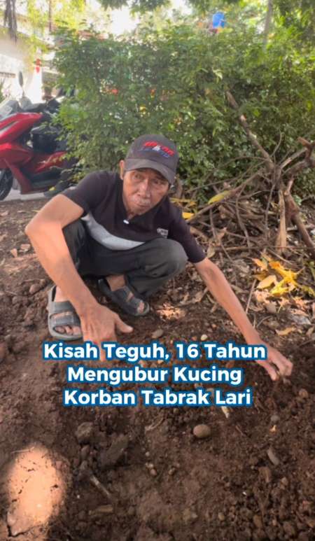 Kisah Teguh, 16 Tahun Mengubur Kucing Korban Tabrak Lari