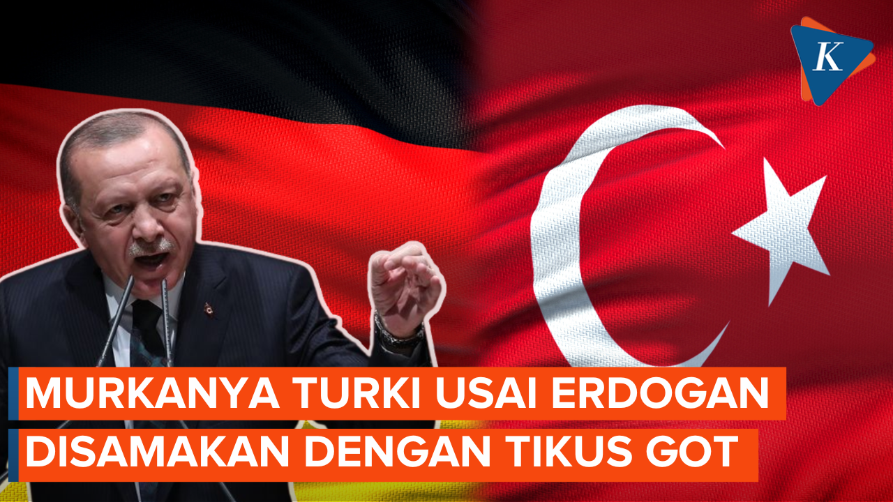 Erdogan Disamakan dengan Tikus Got, Turki Panggil Dubes Jerman