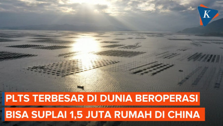 PLTS Terbesar di Dunia Beroperasi, Luasnya Setara 1.868 Lapangan Sepak…