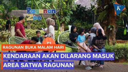Ragunan Revitalisasi Besar-besaran, Akan Ada Penataan Zona Satwa hingga Tempat Parkir