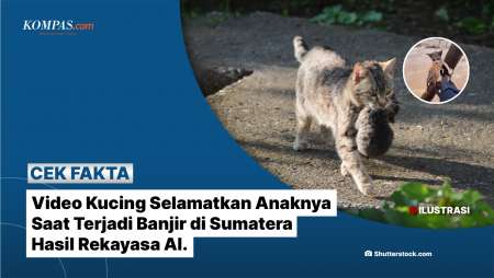 [Klarifikasi] Video Kucing Selamatkan Anaknya Saat Terjadi Banjir Di Sumatera Hasil Rekayasa AI