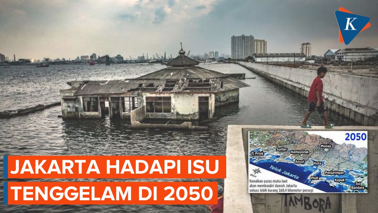 Kenaikan Muka Air di Pesisir Semakin Tinggi, DKi Jakarta Diprediksi Tenggelam pada 2050