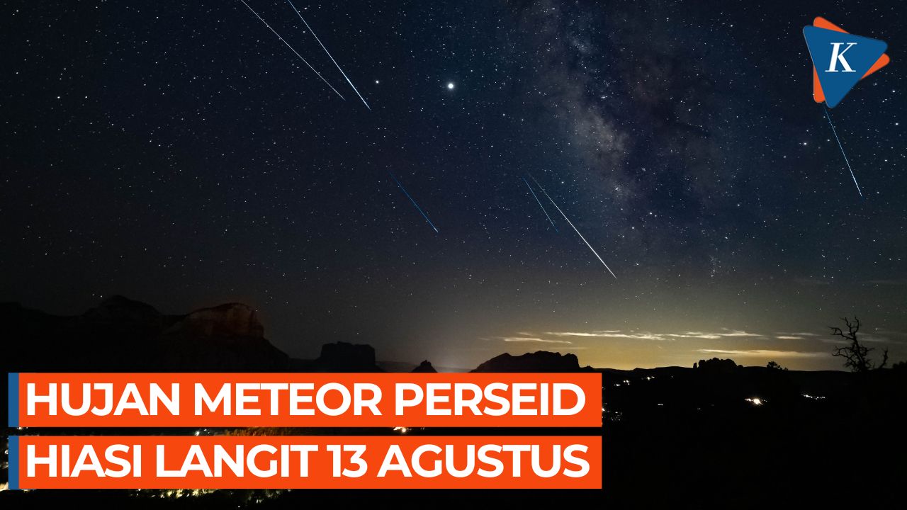 Perseid Meteor Shower 2023: Peak Observation Time and Best Viewing Tips