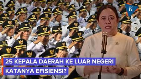DPR Merasa Aneh, 25 Kepala Daerah Ke Singapura Di Saat Semua Efisiensi
