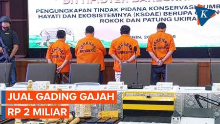 Gading Gajah Disulap Jadi Patung dan Pipa Rokok Senilai Rp 2 M, Empat Orang Ditangkap