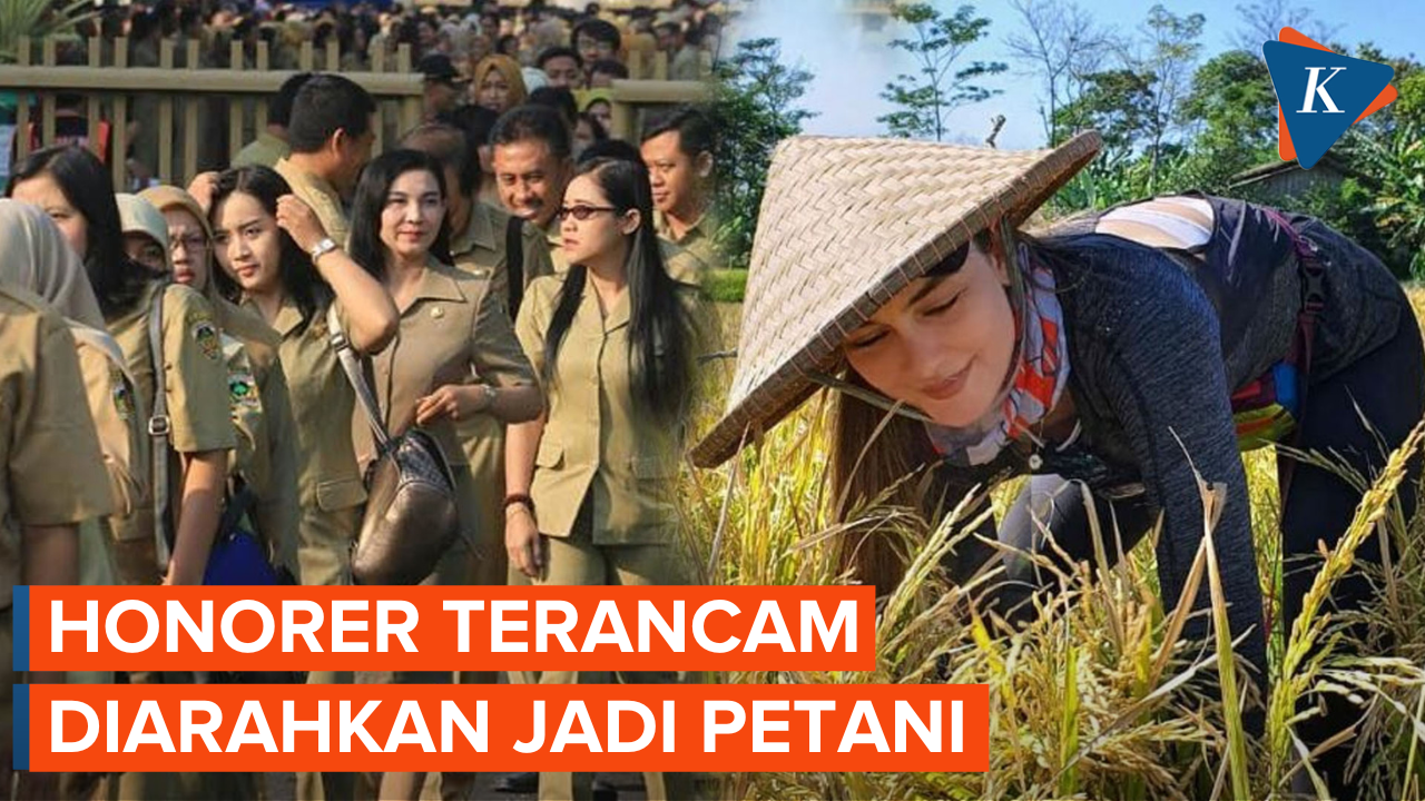 Terancam Nganggur, Ribuan Honorer Pemkab Bandung Barat Diarahkan Jadi Petani dan Peternak
