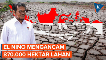 Dilanda El Nino, 870.000 Hektar Lahan Terancam Kekeringan