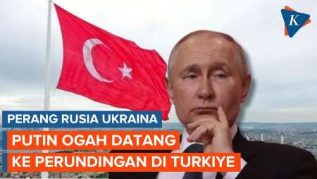 Ditantang Zelensky, Putin Tolak Hadiri Perundingan di Turkiye