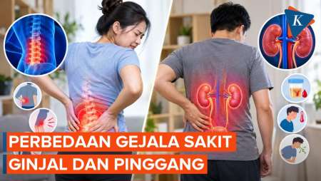 Hampir Sama, Ini Beda Gejala Sakit Ginjal dan Pinggang