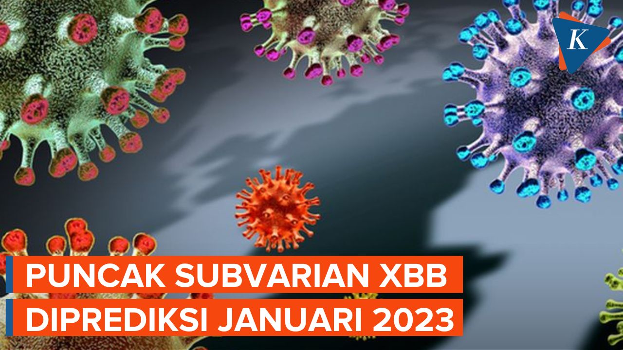 Puncak Kasus Covid-19 Subvarian Omicron XBB Diprediksi pada Januari 2023