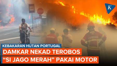 Petugas Damkar Terjang Api Pakai Motor di Tengah Kebakaran Hutan Portugal