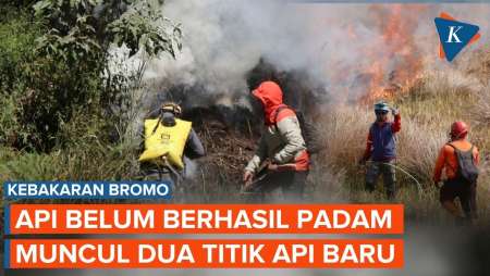 Kebakaran Bromo Belum Padam! 2 Titik Api Baru Muncul di Penanjakan dan Bukit Dingklik