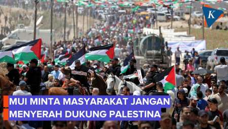 MUI Minta Masyarakat Jangan Puas Dan Menyerah Dukung Kemerdekaan Palestina