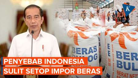 Indonesia Sulit Setop Impor Beras, Kenapa?