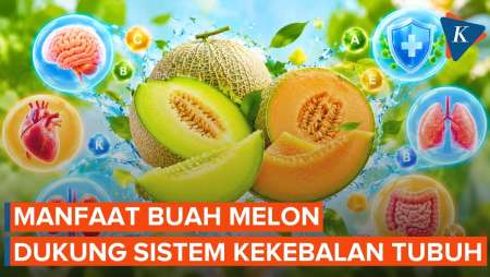 Manfaat Makan Melon Bagi Kesehatan Tubuh