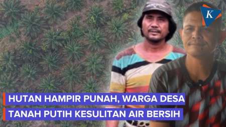 Hutan Menyusut, Masyarakat Adat Tanah Putih Kesulitan Air Bersih di Tengah Karhutla