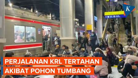 Perjalanan KRL Tanah Abang-Rangkasbitung Tertahan Akibat Pohon Tumbang di Kebayoran