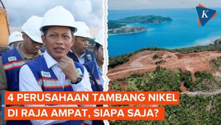 KLH Ungkap 4 Perusahaan Tambang Nikel di Raja Ampat
