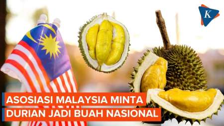 Asosiasi Malaysia Minta Pemerintah Tetapkan Durian Jadi Buah Nasional