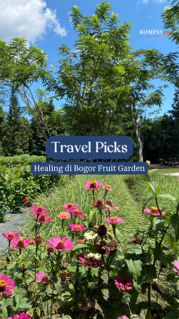 TRAVEL PICKS - Healing di Bogor Fruit Garden, Yuk!