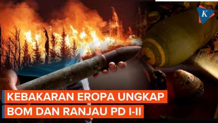 Kebakaran Hutan di Eropa Mengungkap Bom dan Ranjau Perang Dunia yang Terkubur
