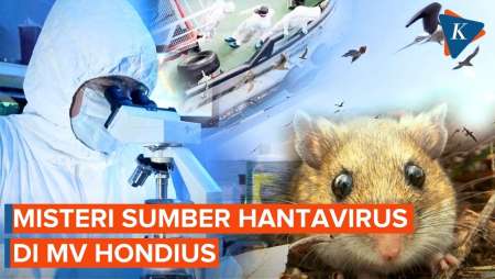 Teka-teki Sumber Hantavirus di MV Hondius yang Tewaskan Tiga Orang