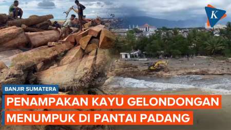Penampakan Tumpukan Kayu Gelondongan Di Pantai Padang Setelah Banjir Sumatera