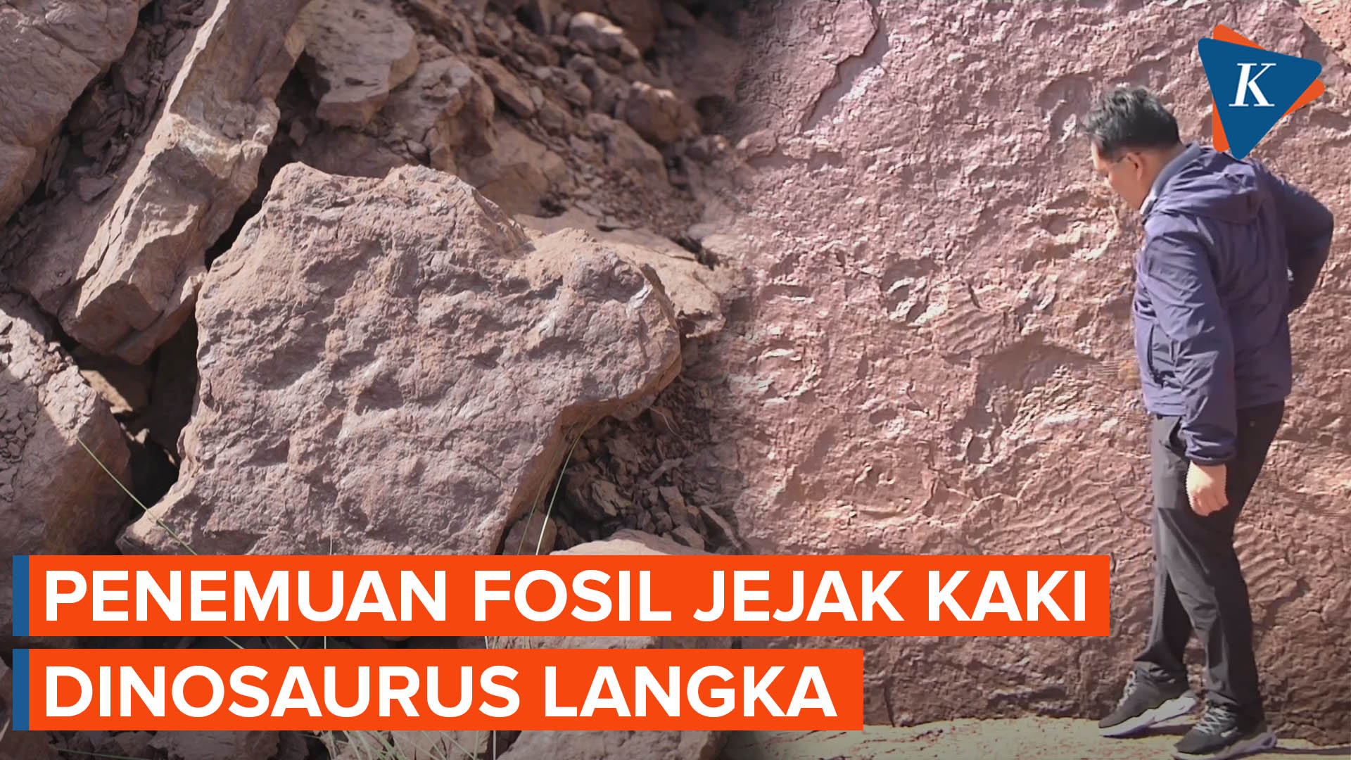 Terungkap, Fosil Jejak Kaki Dinosaurus Langka Ditemukan di China Timur