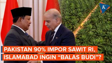 Impor Minyak Sawit Indonesia, PM Pakistan Mau