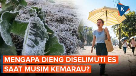 Rahasia Di Balik Munculnya Embun Es Dieng Saat Cuaca Panas Terik
