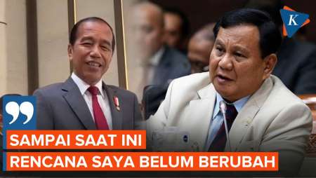 Jawaban Jokowi soal Disinggung Masuk DPA Era Prabowo
