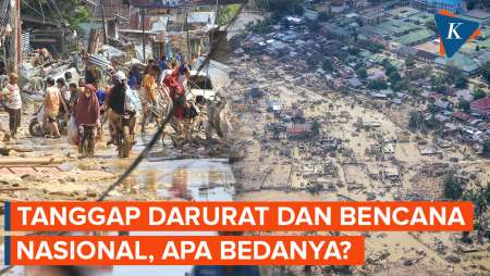 Apa Bedanya Status Tanggap Darurat Dan Bencana Nasional?