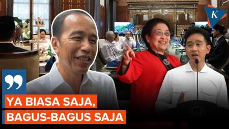 Gibran Bertemu Megawati, Jokowi: Biasa Saja