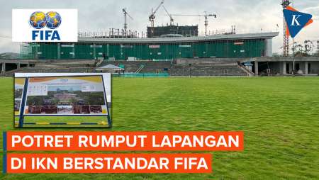 Penampakan Rumput Lapangan Upacara IKN yang Berstandar FIFA