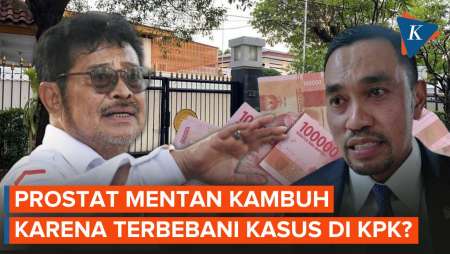 Nasdem Duga Prostat Syahrul Yasin Limpo Kambuh karena Namanya Terseret ke KPK