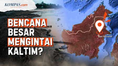 Ancaman "Bom Waktu" Bencana Di Kaltim: Hutan Menyusut, Tambang Dan Sawit Disorot